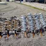 Un piatto di pesce azzurro fresco, simbolo delle sagre adriatiche di fine maggio.