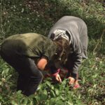 Festa delle erbe spontanee in Umbria: degustazioni e passeggiate nei boschi il 12 maggio.