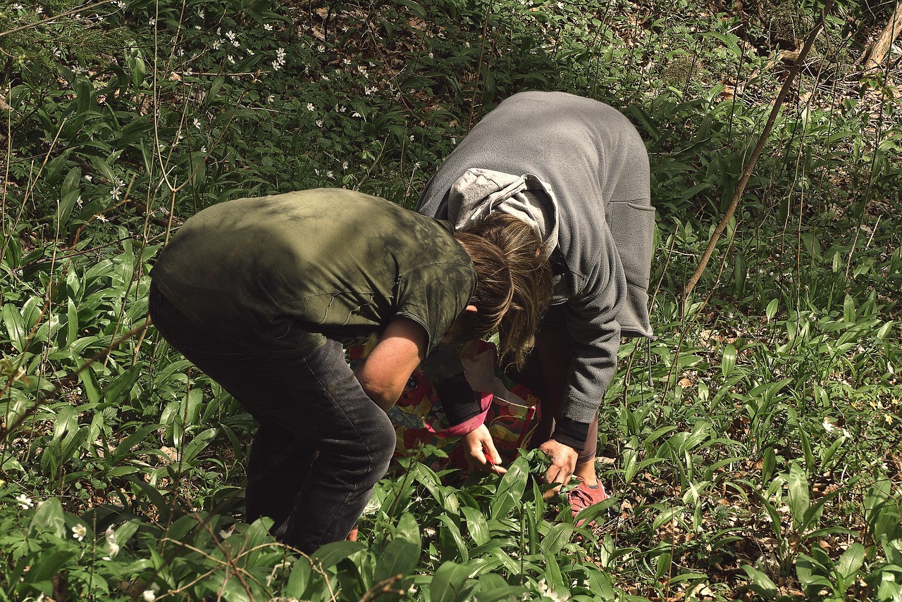 Festa delle erbe spontanee in Umbria: degustazioni e passeggiate nei boschi il 12 maggio.