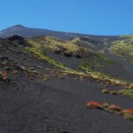 Fioritura delle ginestre sul Vesuvio con sentieri panoramici nel 2026.