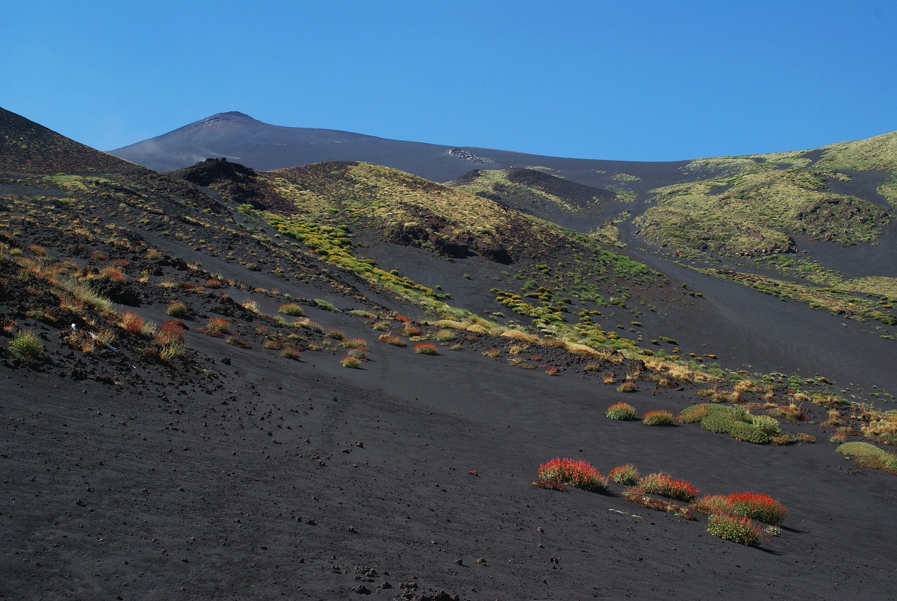 Fioritura delle ginestre sul Vesuvio con sentieri panoramici nel 2026.